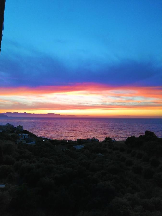Appartement Dreamy View
